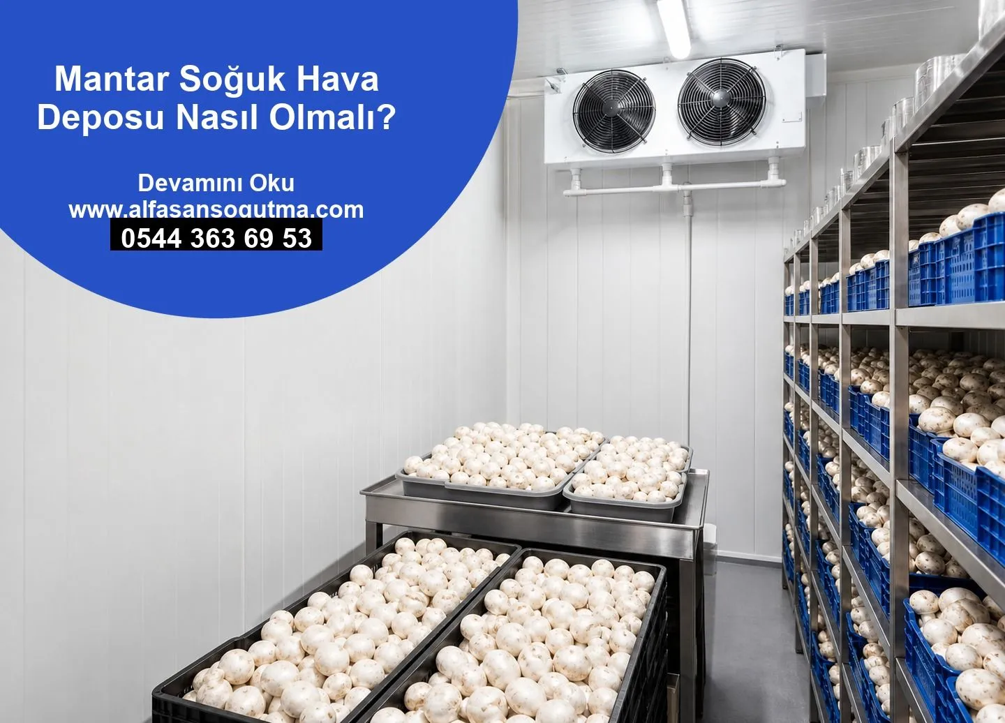 Mantar Soğuk Hava Deposu Nasıl Olmalı?
